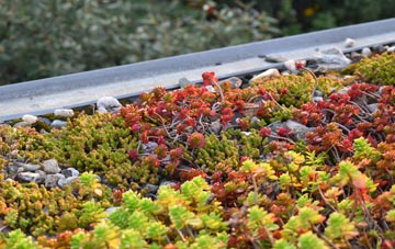 the cost of Felling green roof installation